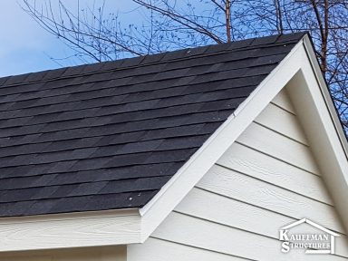 shingles roof option